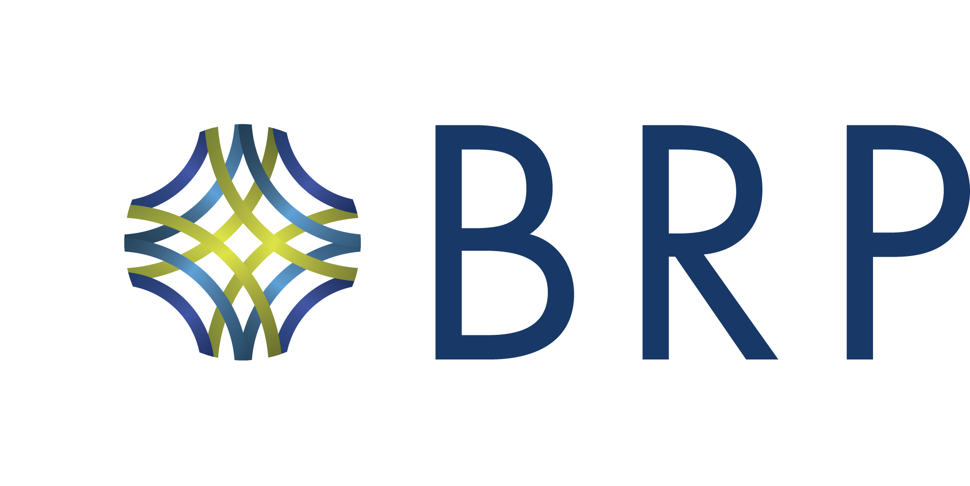 BRP group ipo mischler